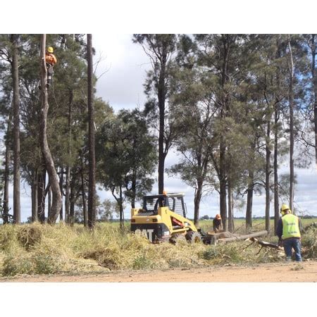 10 BEST Tree & Stump Removal in Toowoomba QLD .